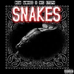 Snakes ft. DSM Mohee