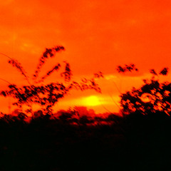 Vinyl Dirt Soft noise performance