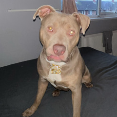 Roof on fire - Belfast grime man