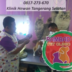 0817-273-670 Dokter Hewan Pondok Aren Tangerang Selatan, Rambad Vet Clinic