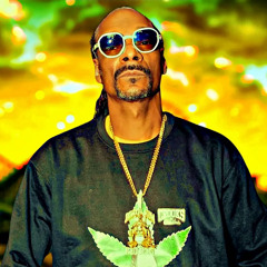 Snoop Dogg, Eminem, Dr. Dre ft DMX, Eve,Ice Cube, The Lox - Back In The Game  (Lyrics) 