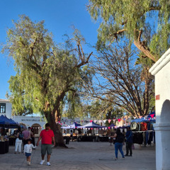 que o Elon Musk vá para Marte e não nos convide!