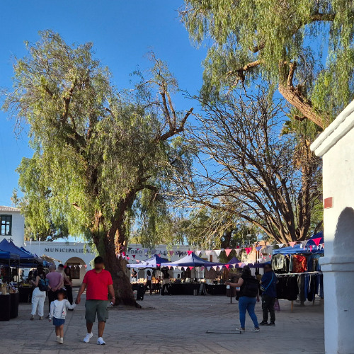 que o Elon Musk vá para Marte e não nos convide!