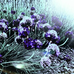 A good Day - Chillhouse Version