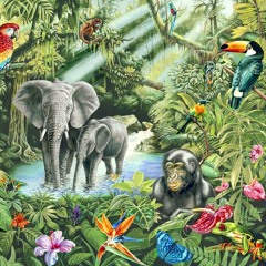 jungle