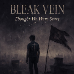 𝓑𝓵𝓮𝓪𝓴𝓥𝓮𝓲𝓷 - Thought We Were Stars