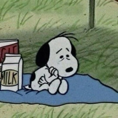 LOSTDAWG