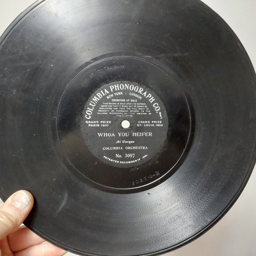 Whoa! You Heifer by Prince's Band (1905, Col-3097) Alphonse Verges