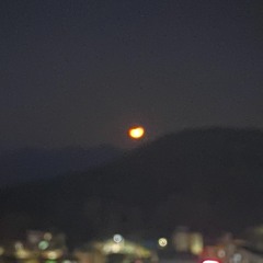 남은 demo