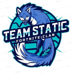 team static