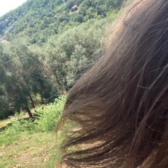 offline freestyle