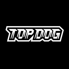 VERSH - K.O. (TOP DOG PHONK)