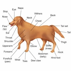 Get Away (H I E R O N   DnB remix)