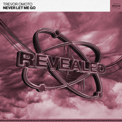 Never Let Me Go (Extended Mix)