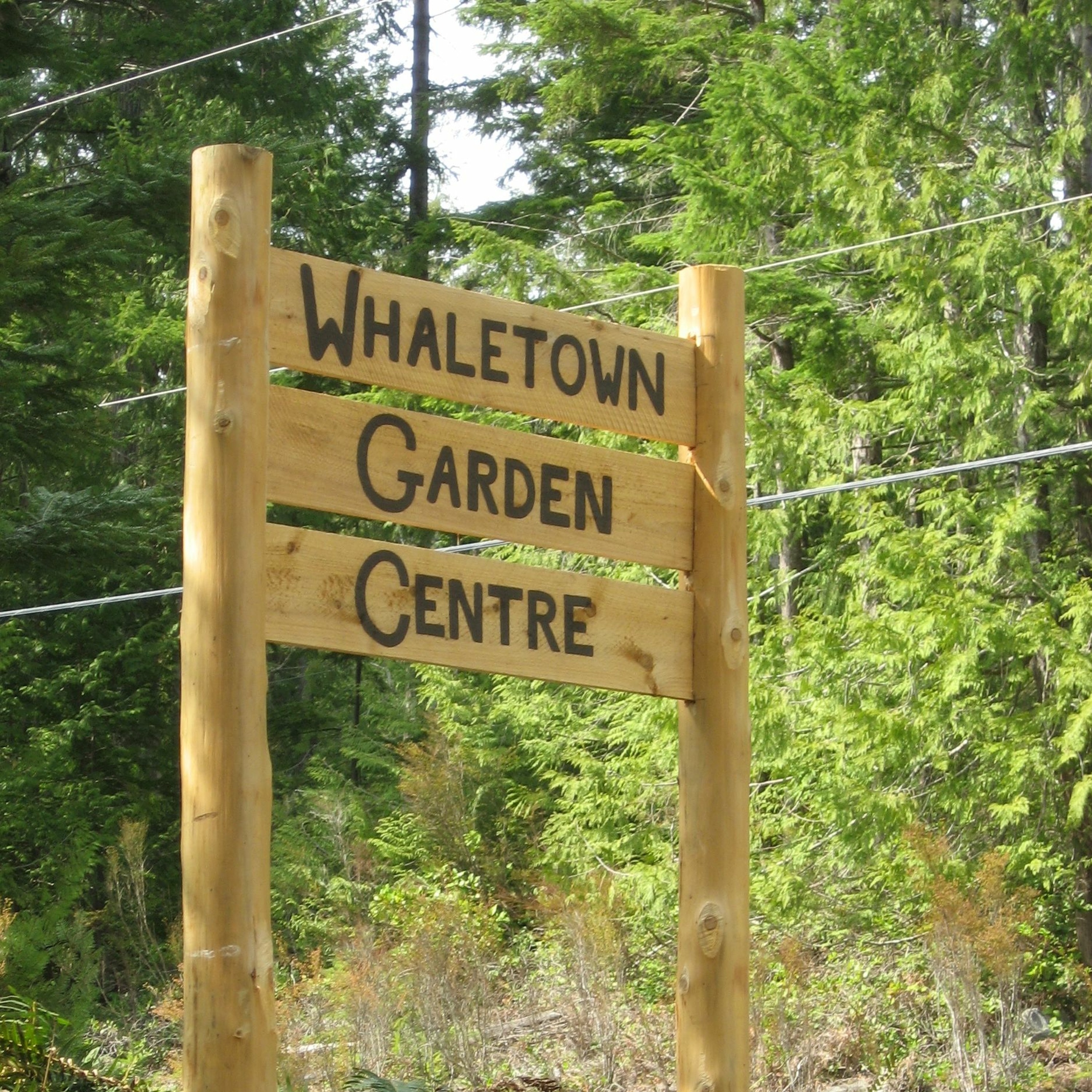 A New Season For The Whaletown Garden Centre