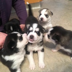 Come Back To Me 2020