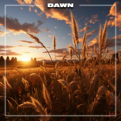Dawn