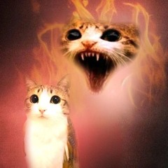 АРЕСТОВАНАЗАВАС!((