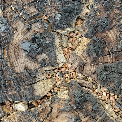 MixTape - 09-18-20 - bleeps, boops, and breaks