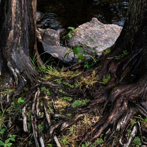 twisted (siem spark + ayoley)