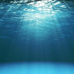 I Was In The Water 34