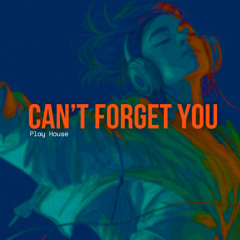 Can't Forget You