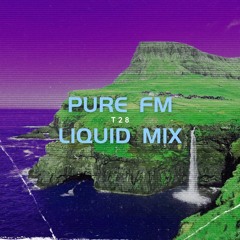 PURE FM LIQUID/MINIMAL [17.01.25]