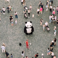 Pandaring