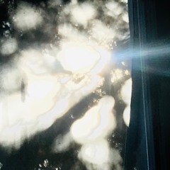 dreams, memories, ideas, fantasmata