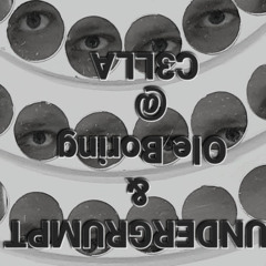 UNDERGRUMPT&OleBoring@C3LLA