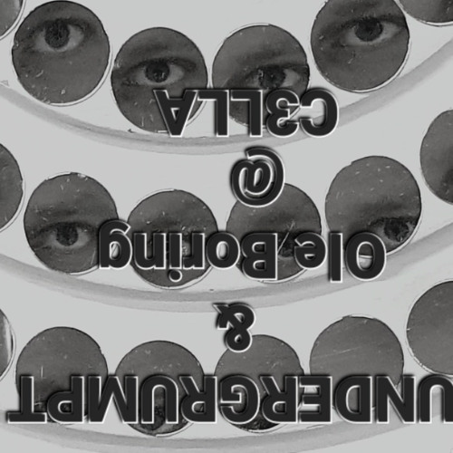 UNDERGRUMPT&OleBoring@C3LLA