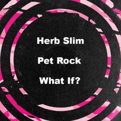 Herb Slim & Pet Rock - WHAT IF? (Minimal Techno ... FREE DOWNLOAD)