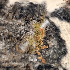 Arpegu - From the Sun