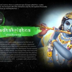 Radhakrishnsoundtracks 22 -Various Themes vol 4