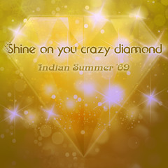 Shine on You Crazy Diamond (weimarR Remix)