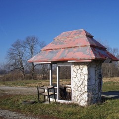 Spider in the Grapes.m4a