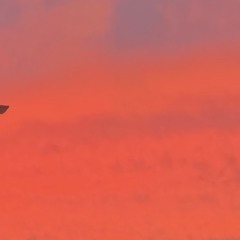 flicker