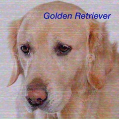 𝒢𝑜𝓁𝒹𝑒𝓃 ℛ𝑒𝓉𝓇𝒾𝑒𝓋𝑒𝓇