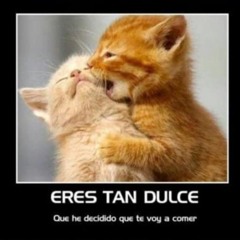 naru se siente triste