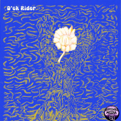 Dick Rider (feat. Numero Special, A Million $ Band & The Fcktards)