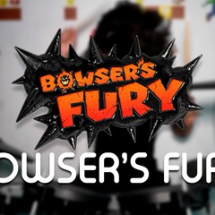 DC - Bowser's Fury | Drum Cover