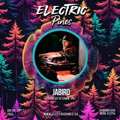 Electric Pines 2024