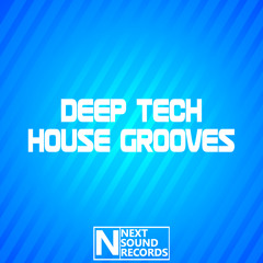 Deep Tech House Grooves (Mastering Mix)