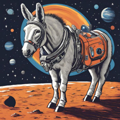 Space Donkey