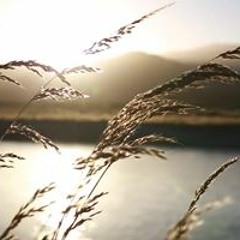 الحلقة السابعة من سلسلة وفيهم نزل القرآن - معقل بن يسار