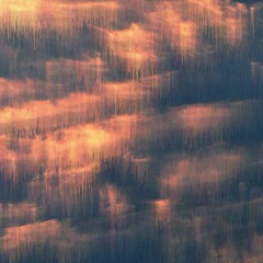 사유 (With. 박민규, 서연우)