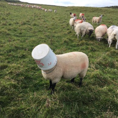 key vs locket - tackle cover <3