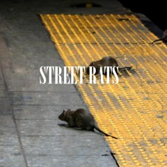 STREET RATS (PROD. STOICBEATS)