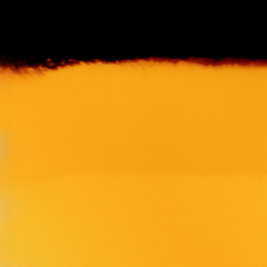 Velvia - Vinyl December 2025 - (Downtempo)