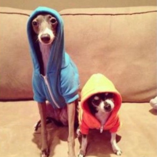 STBB [ Family ] 913 ~ Still Heshy 'n Joa ~ ! ! !